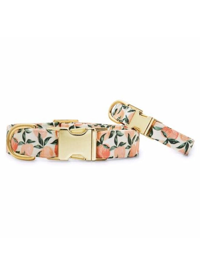 Detail Dolce And Gabbana Dog Collars Nomer 31