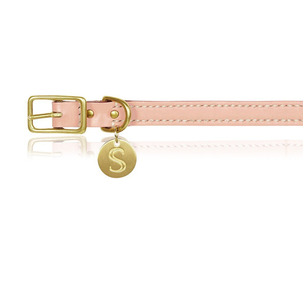 Detail Dolce And Gabbana Dog Collars Nomer 33