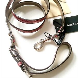 Detail Dolce And Gabbana Dog Collars Nomer 5