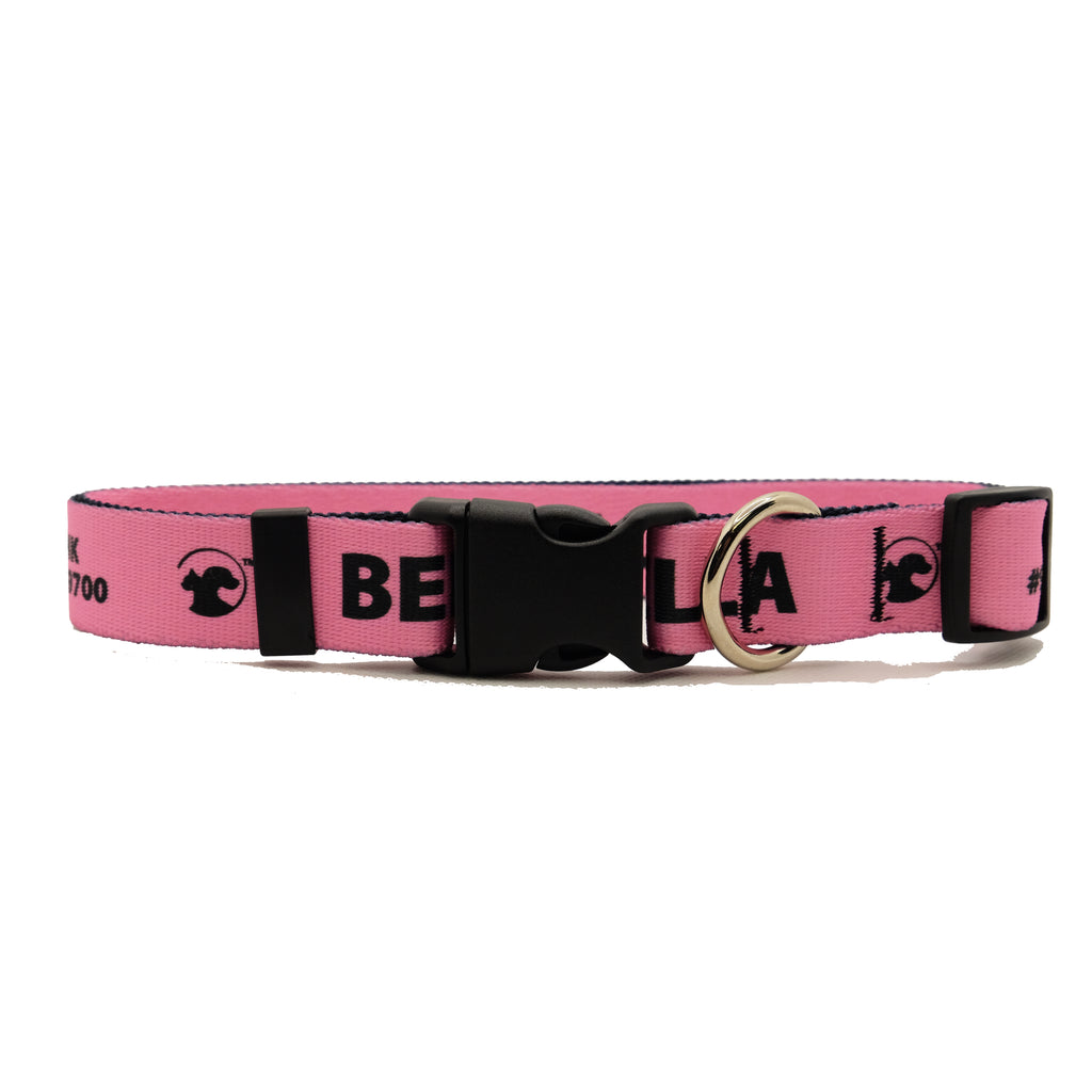 Download Dolce And Gabbana Dog Collars Nomer 38