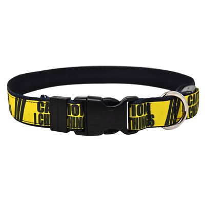 Detail Dolce And Gabbana Dog Collars Nomer 50