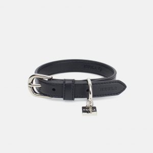 Detail Dolce And Gabbana Dog Collars Nomer 52