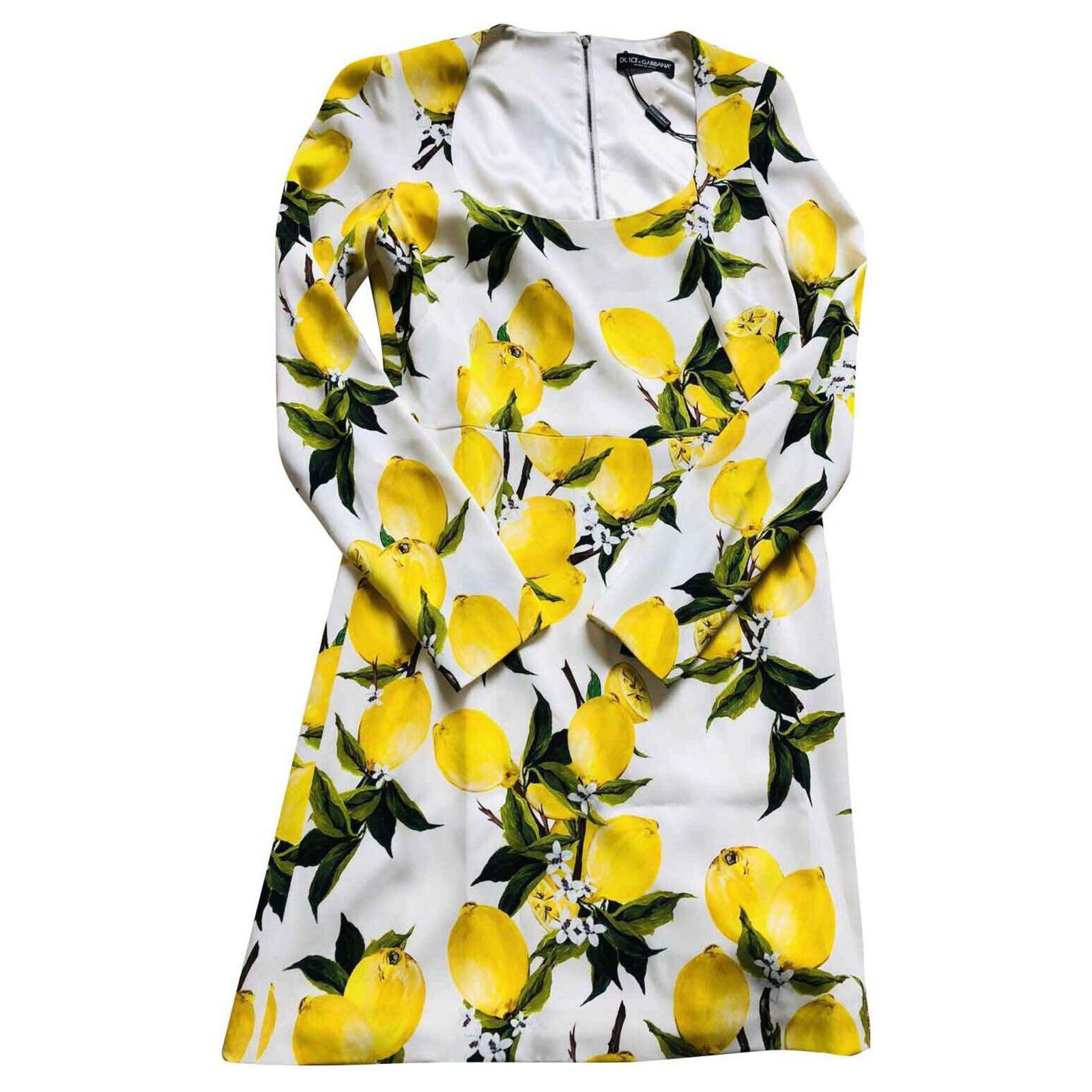 Detail Dolce And Gabbana Lemon Dress Nomer 55