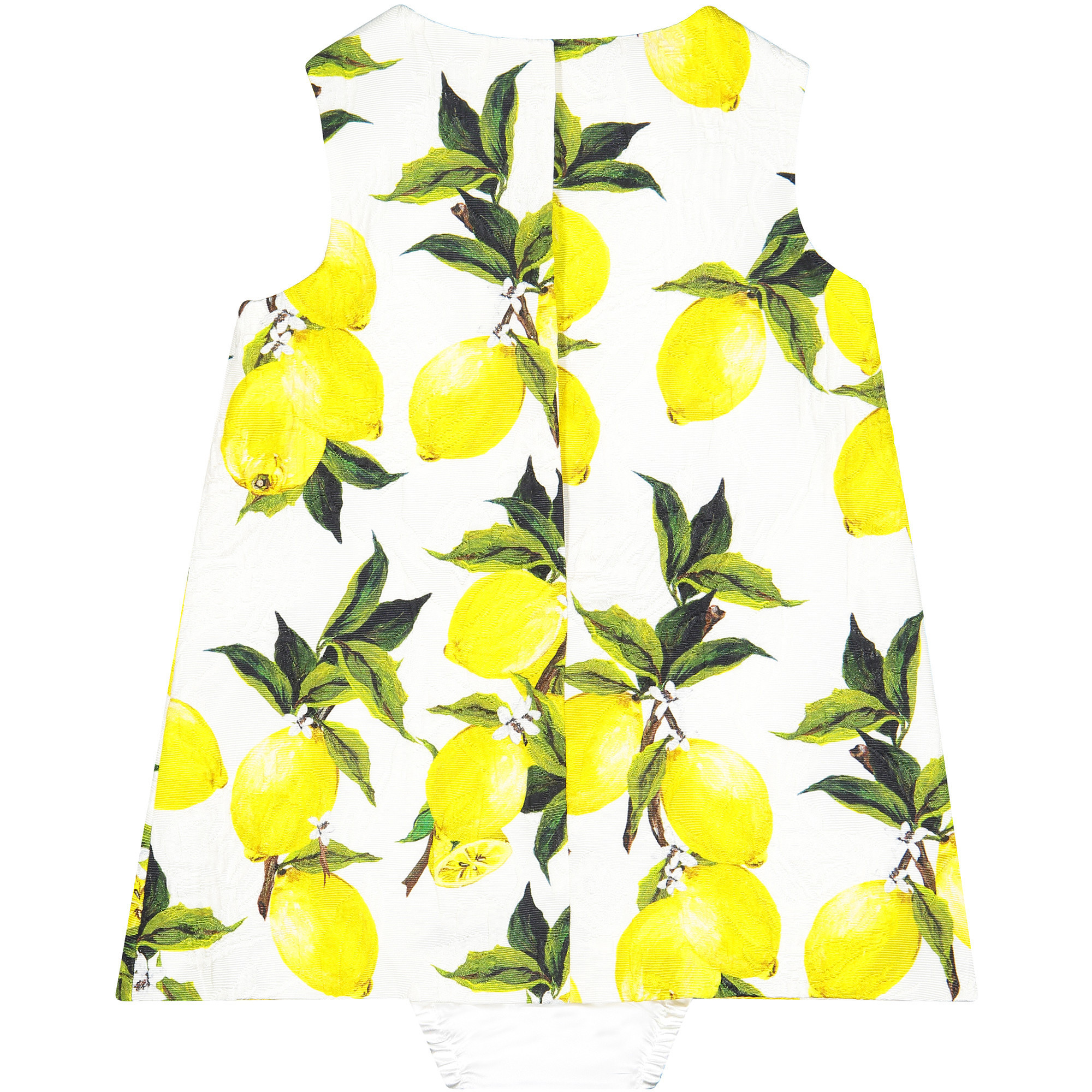 Detail Dolce And Gabbana Lemon Print Nomer 29