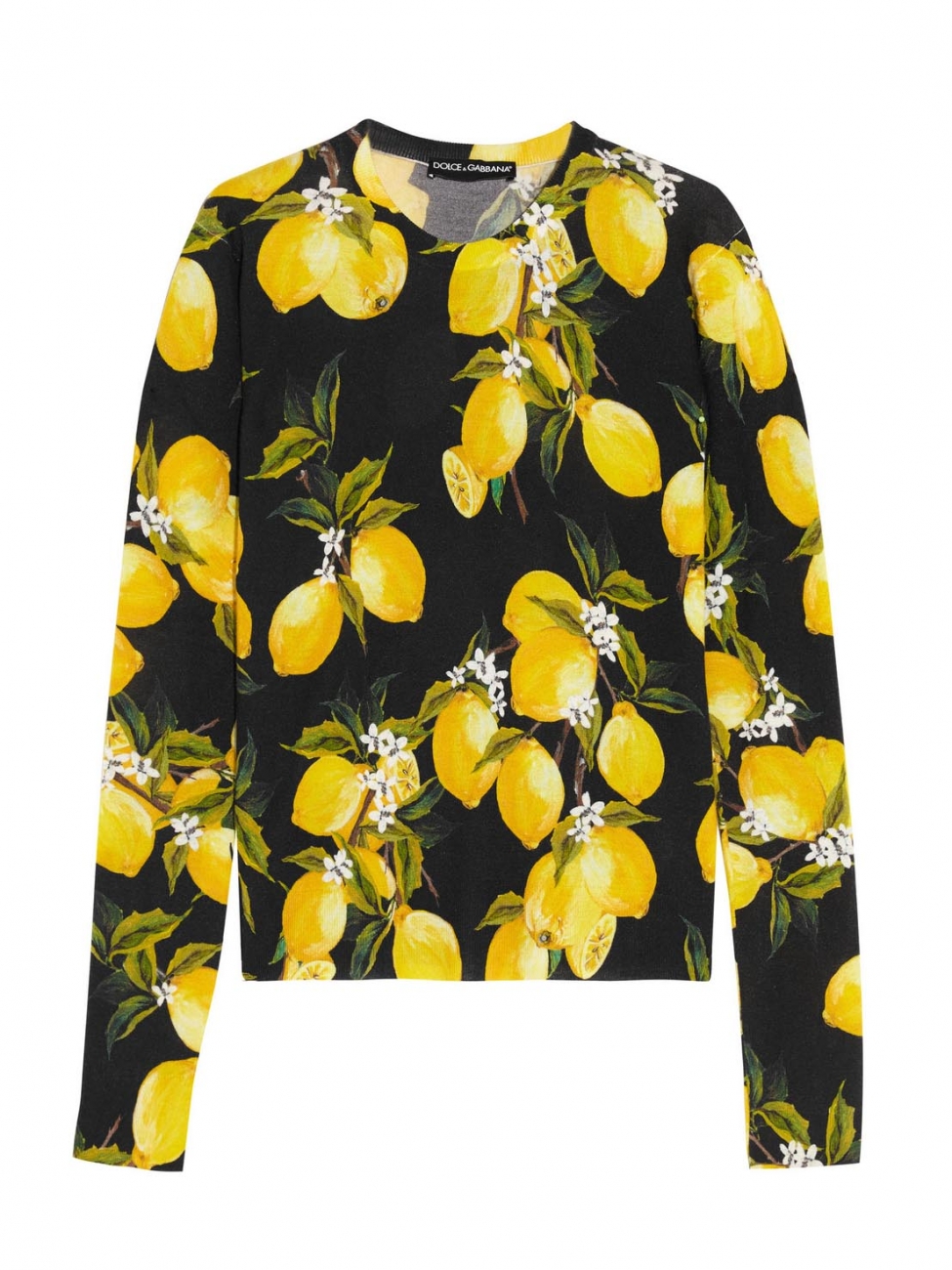 Detail Dolce And Gabbana Lemon Print Nomer 46