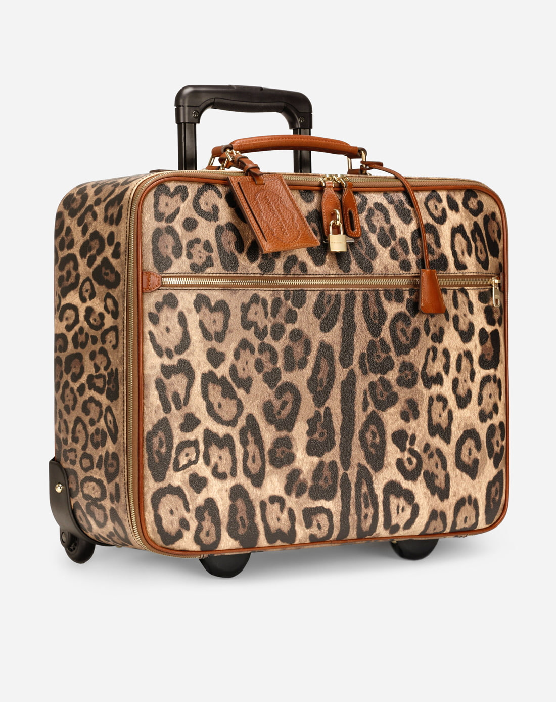 Detail Dolce And Gabbana Suitcase Nomer 22