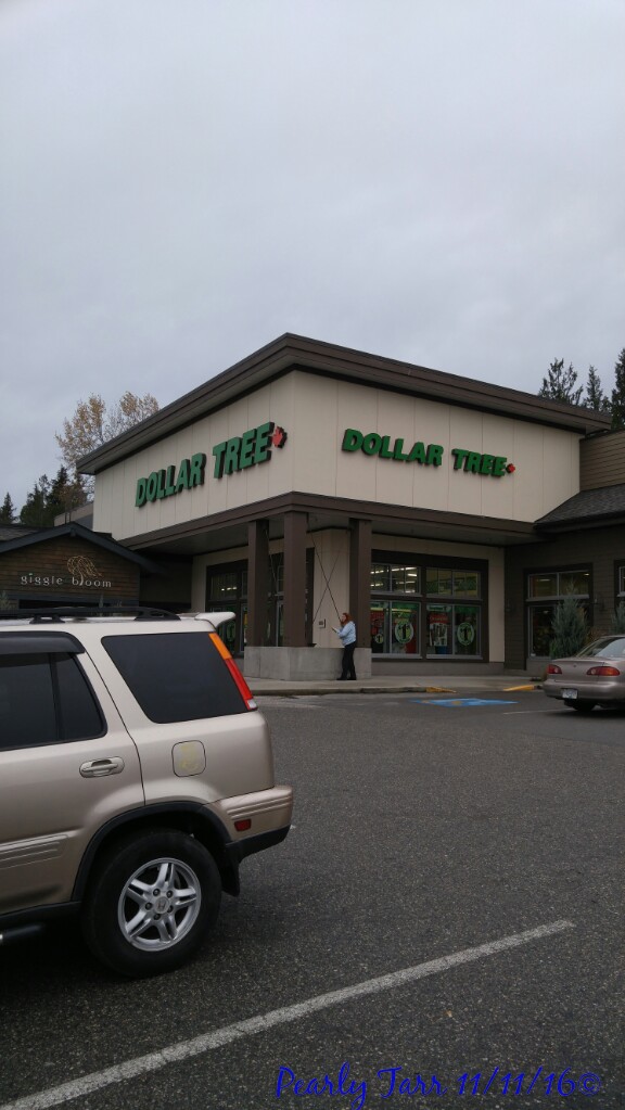 Detail Dollar Tree Gull Road Nomer 11