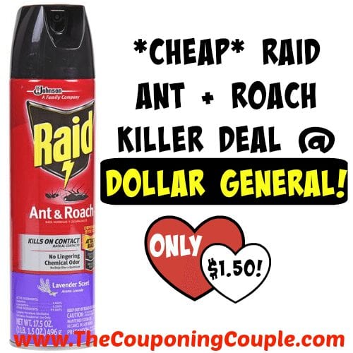 Detail Dollar Tree Roach Killer Nomer 21