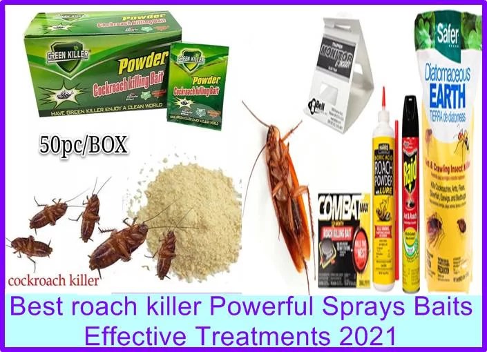 Detail Dollar Tree Roach Killer Nomer 33