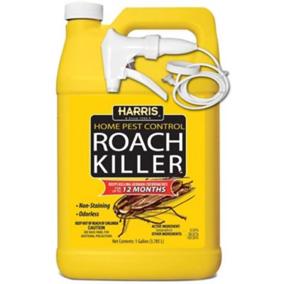 Detail Dollar Tree Roach Killer Nomer 36