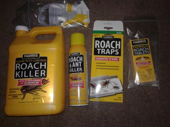 Detail Dollar Tree Roach Killer Nomer 38