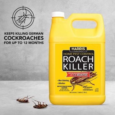 Detail Dollar Tree Roach Killer Nomer 42