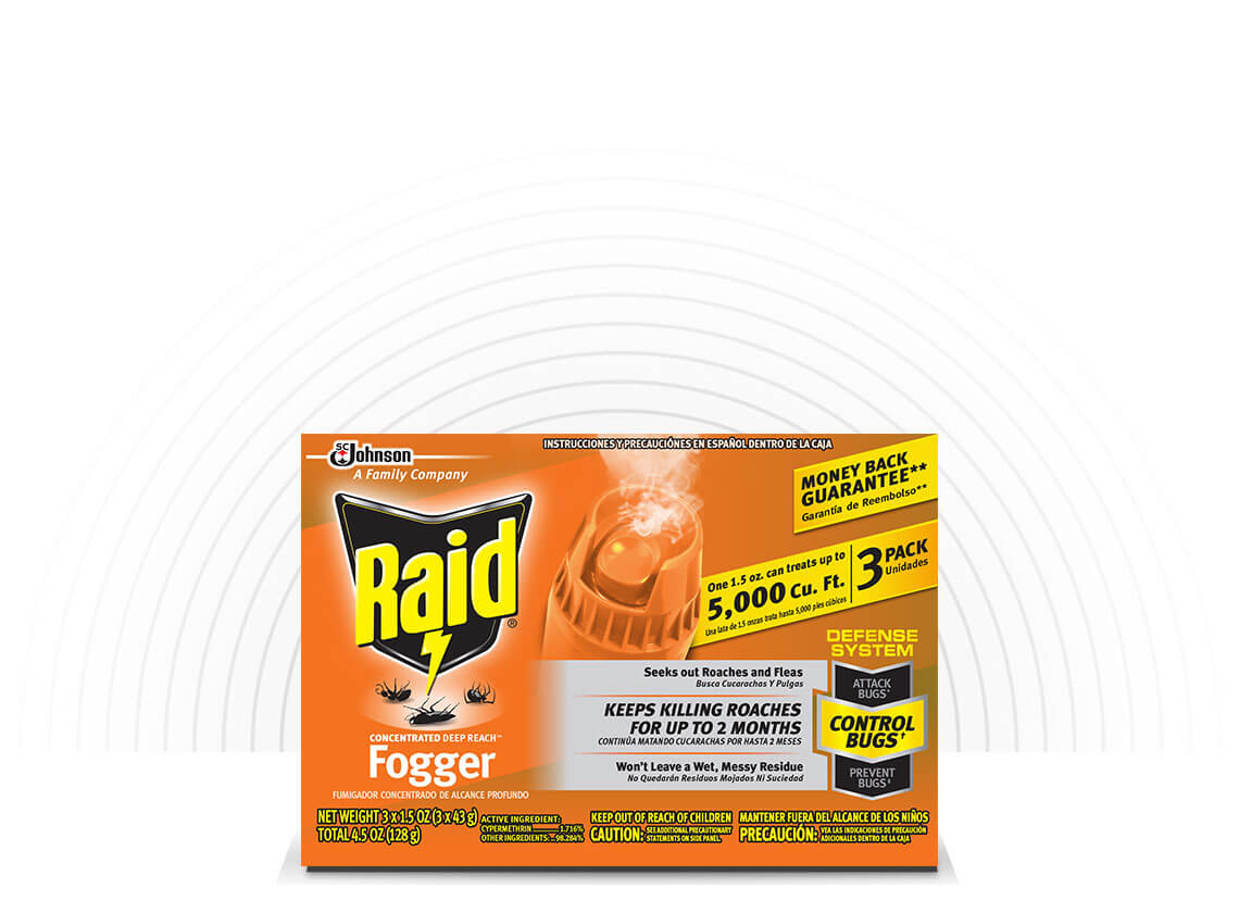 Detail Dollar Tree Roach Killer Nomer 49