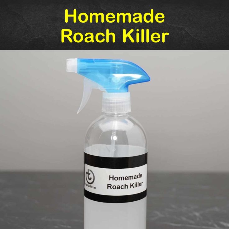 Detail Dollar Tree Roach Killer Nomer 50