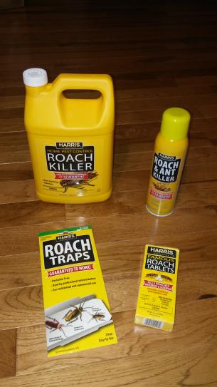 Detail Dollar Tree Roach Killer Nomer 55