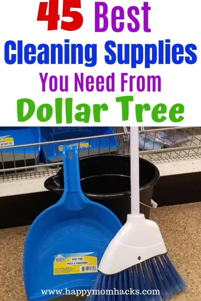 Detail Dollar Tree Sponge Mop Nomer 24