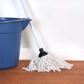 Detail Dollar Tree Sponge Mop Nomer 33