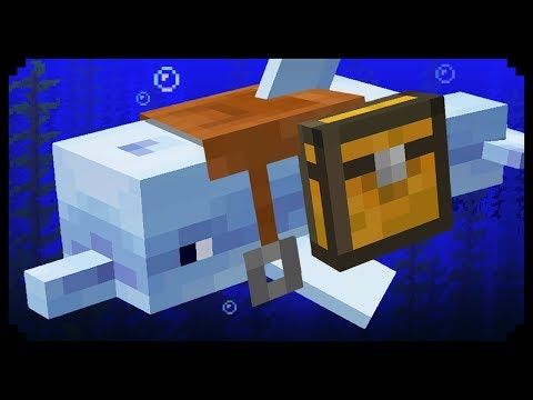 Detail Dolphin Banner Minecraft Nomer 12