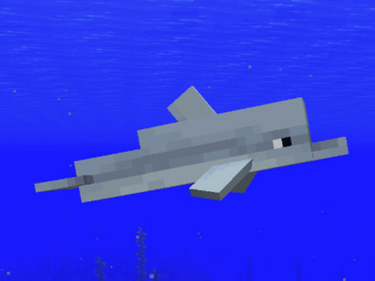 Detail Dolphin Banner Minecraft Nomer 36