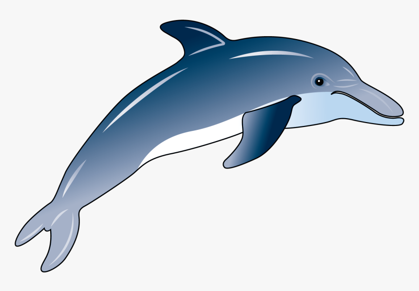 Detail Dolphin Clipart Nomer 12