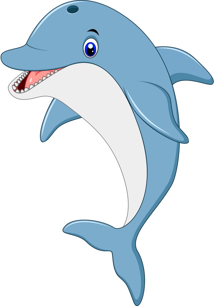 Detail Dolphin Clipart Nomer 13