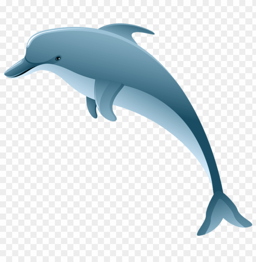 Detail Dolphin Clipart Nomer 14