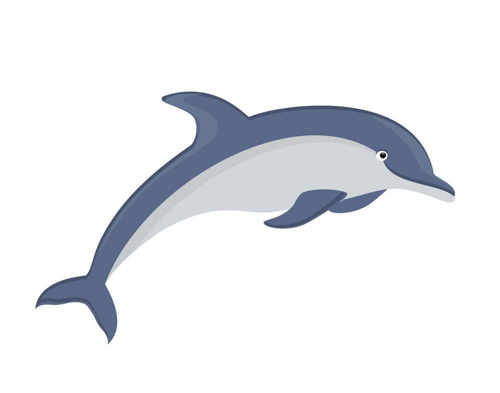 Detail Dolphin Clipart Nomer 3