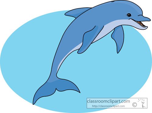 Detail Dolphin Clipart Nomer 21