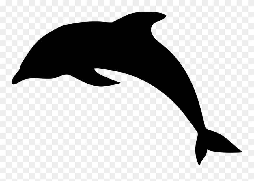 Detail Dolphin Clipart Nomer 35