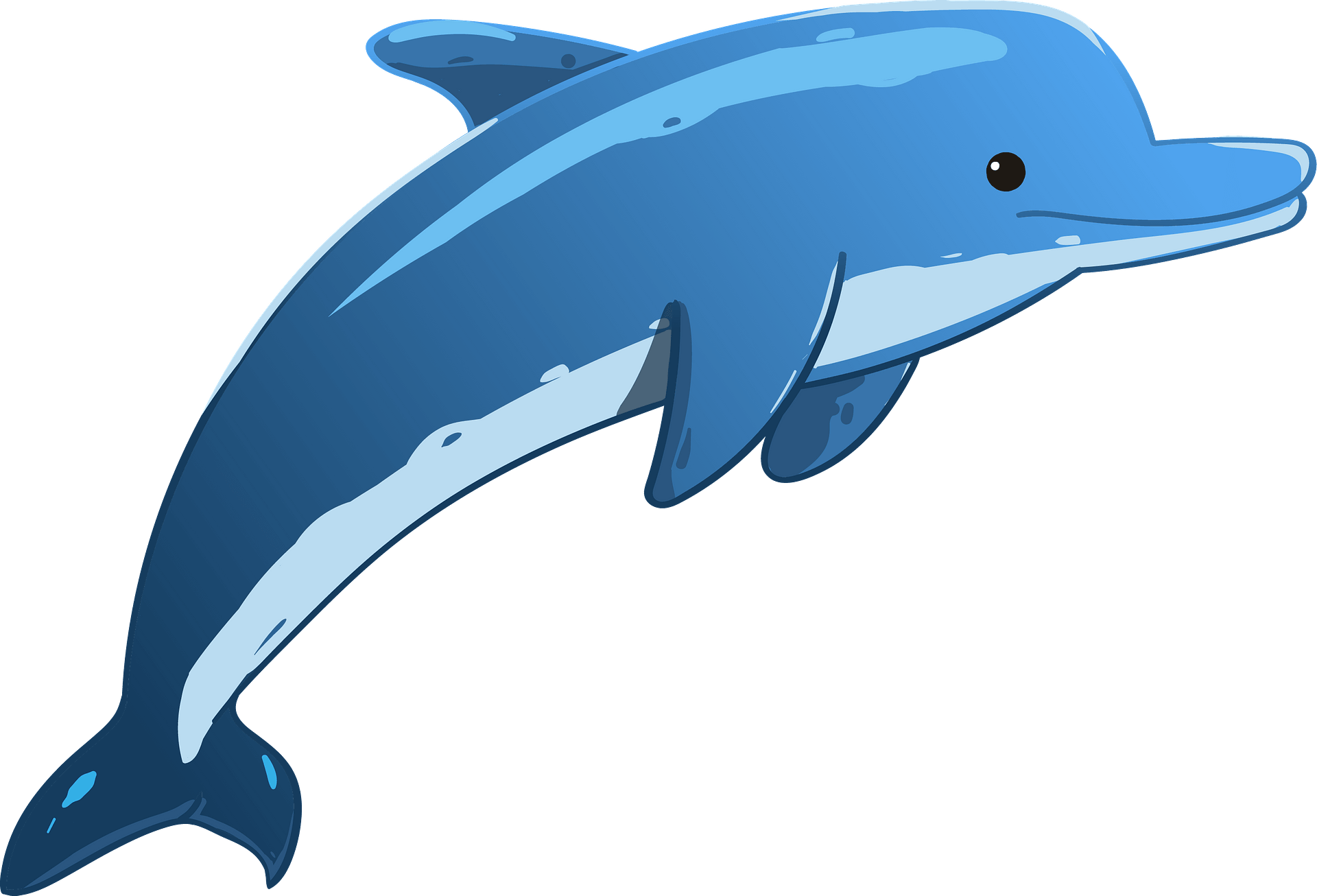 Detail Dolphin Clipart Nomer 5