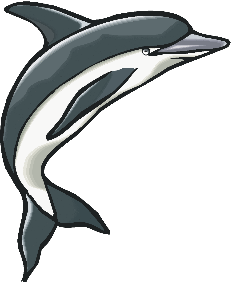 Detail Dolphin Clipart Nomer 53