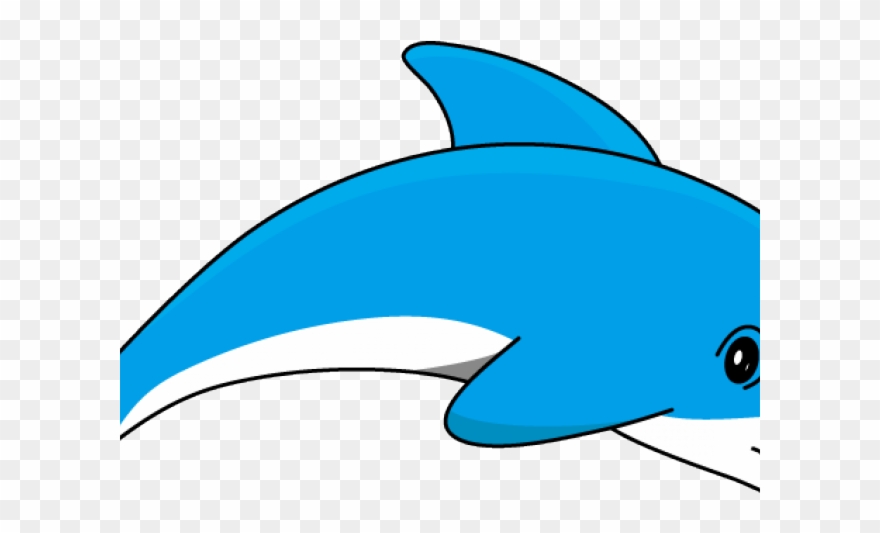Detail Dolphin Clipart Nomer 9
