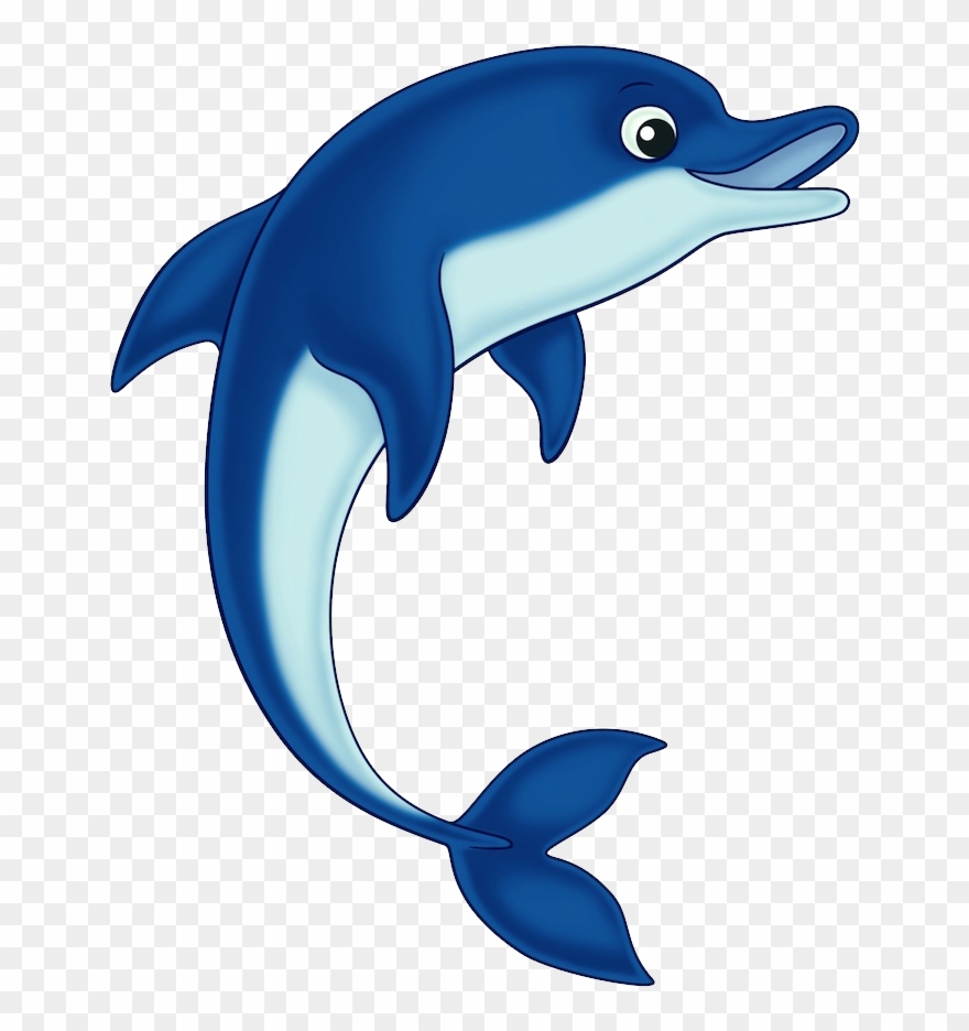 Detail Dolphin Clipart Png Nomer 2