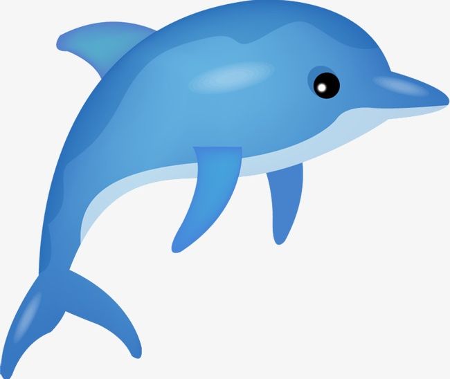 Detail Dolphin Clipart Png Nomer 11