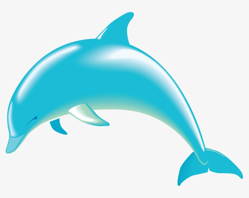 Detail Dolphin Clipart Png Nomer 14