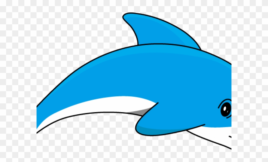 Detail Dolphin Clipart Png Nomer 17