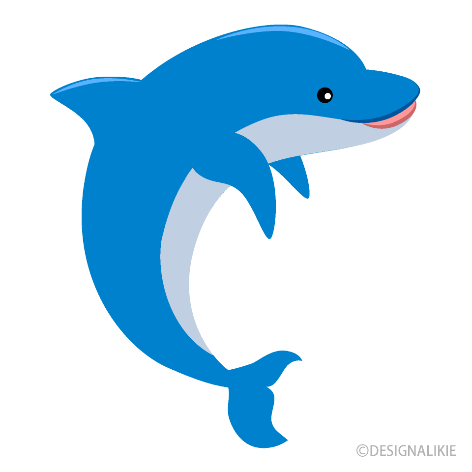 Detail Dolphin Clipart Png Nomer 19