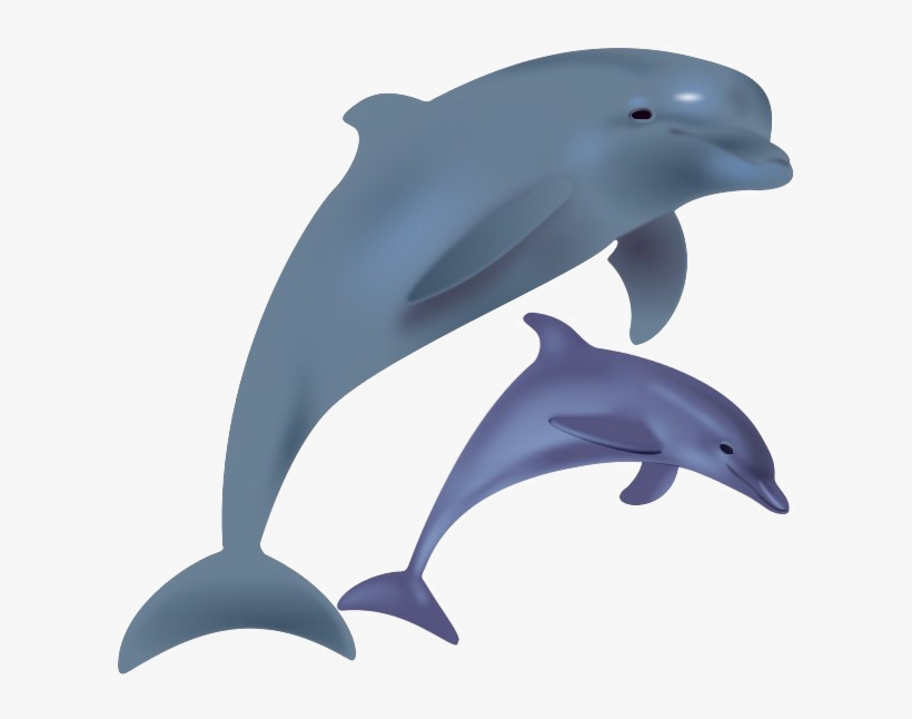 Detail Dolphin Clipart Png Nomer 22