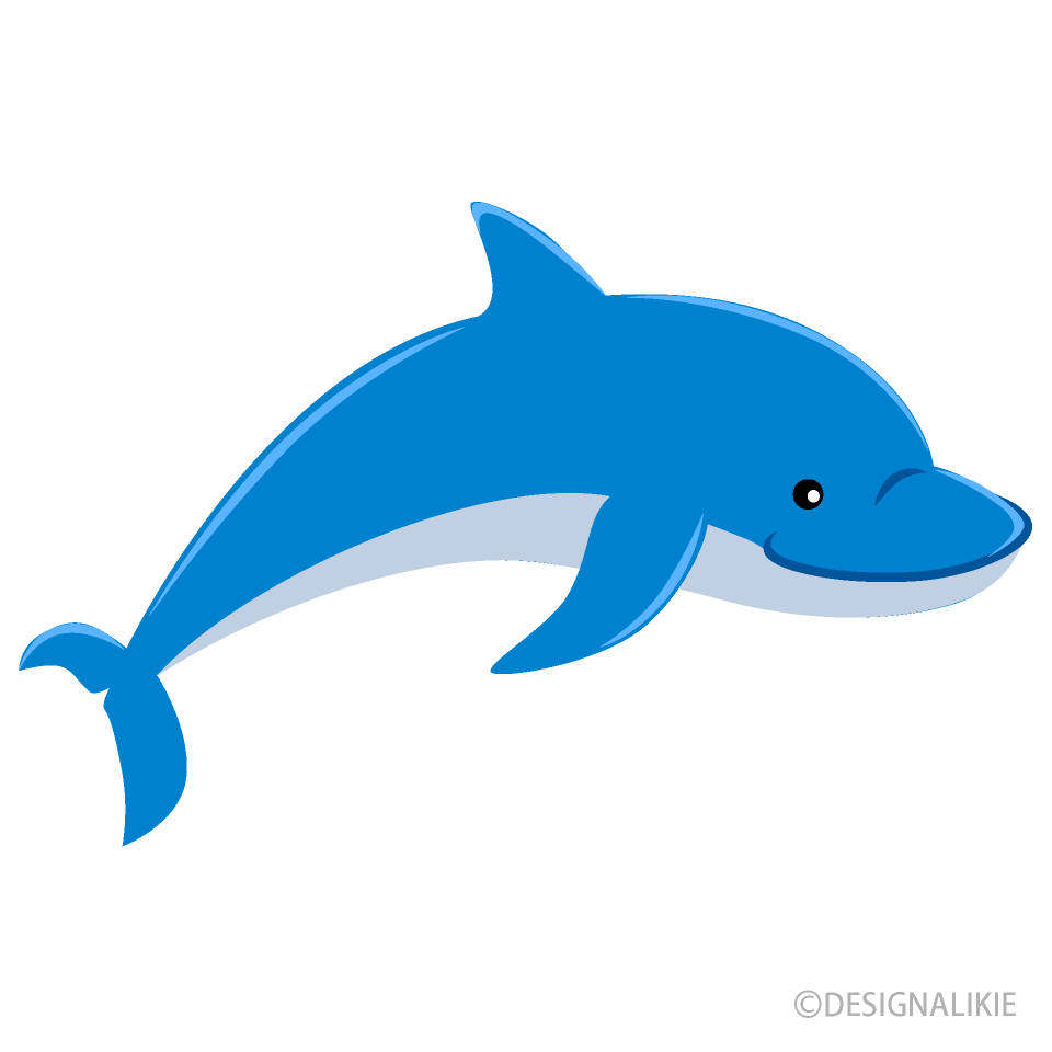 Detail Dolphin Clipart Png Nomer 45