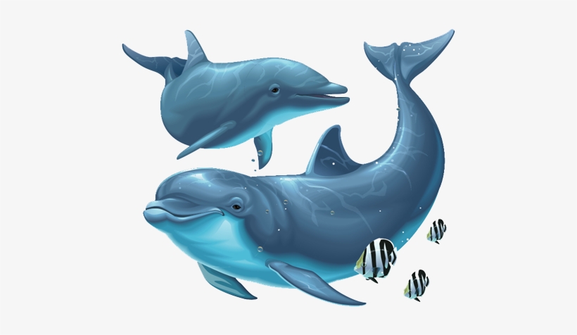 Detail Dolphin Clipart Png Nomer 56