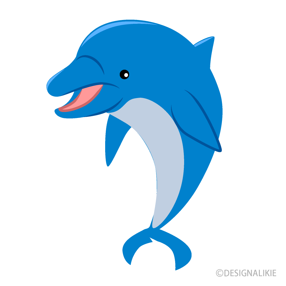 Detail Dolphin Clipart Png Nomer 9