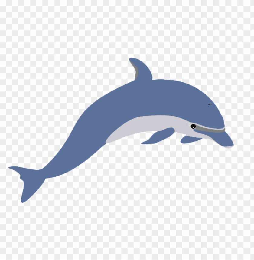 Detail Dolphin Clipart Png Nomer 10