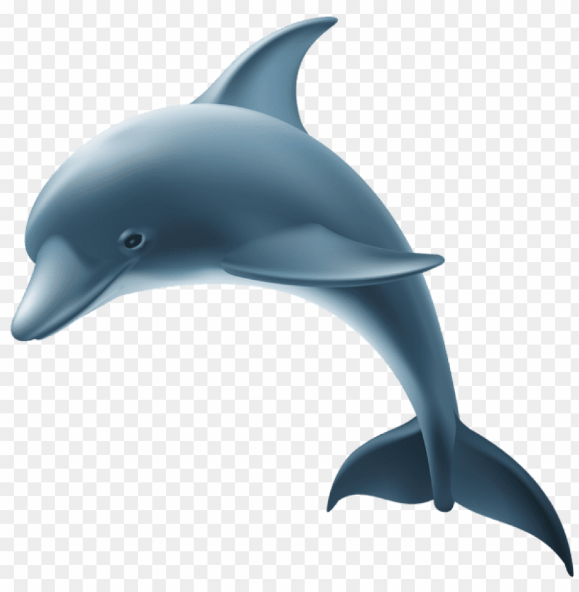 Detail Dolphin Clipart Transparent Nomer 10