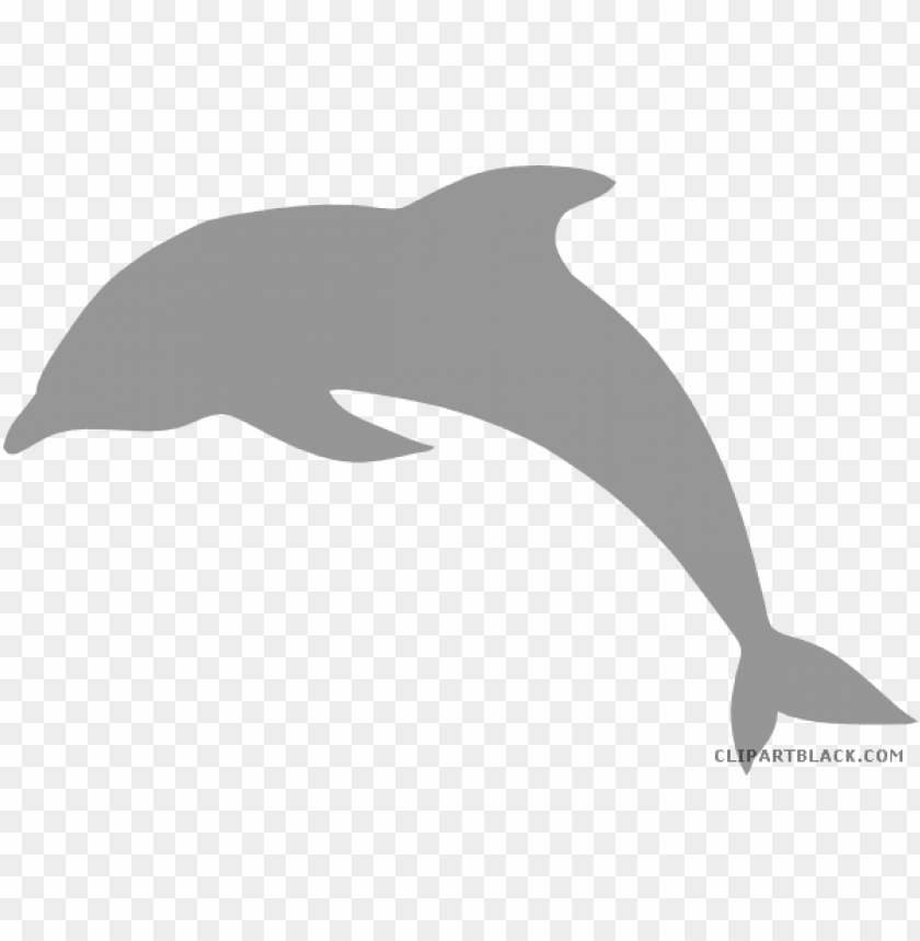 Detail Dolphin Clipart Transparent Nomer 31