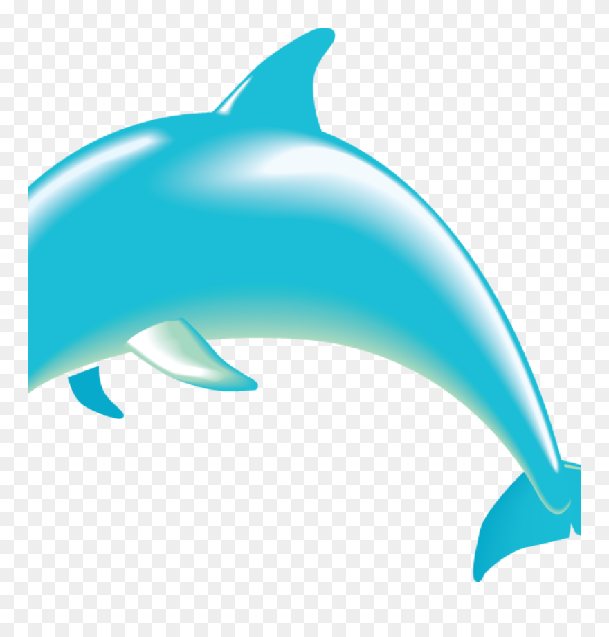 Detail Dolphin Clipart Transparent Nomer 5