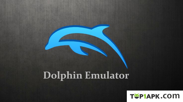 Detail Dolphin Download Nomer 33