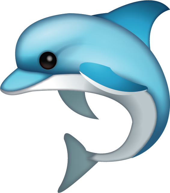 Detail Dolphin Download Nomer 7