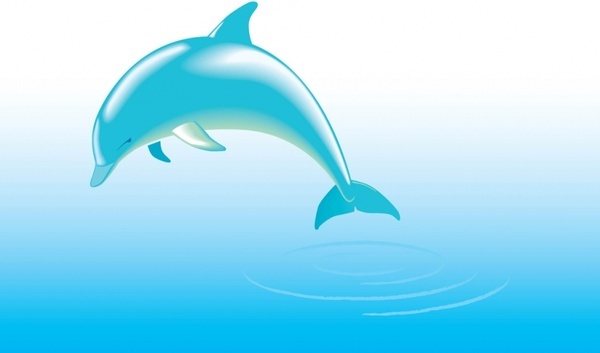 Detail Dolphin Free Download Nomer 42