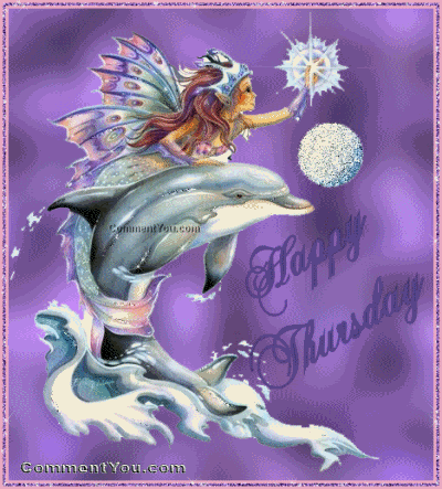 Detail Dolphin Happy Birthday Meme Nomer 17
