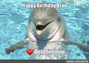 Detail Dolphin Happy Birthday Meme Nomer 18